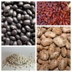 Beans