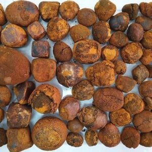100% Natural Top Quality Ox Gallstones Cattle Gallstones Cow Gallstones for Sale