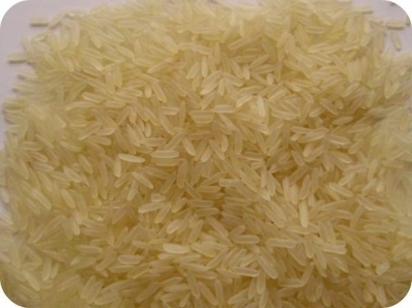 Rice