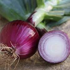Onion
