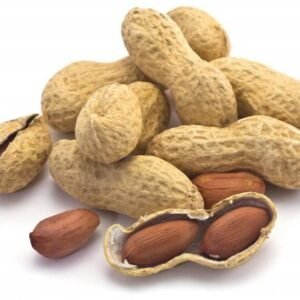 Peanut (Legume)