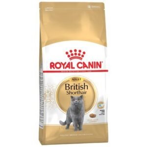 ROYAL CANIN BRITISH SHORTHAIR ADULT CAT DRY FOOD 4KG